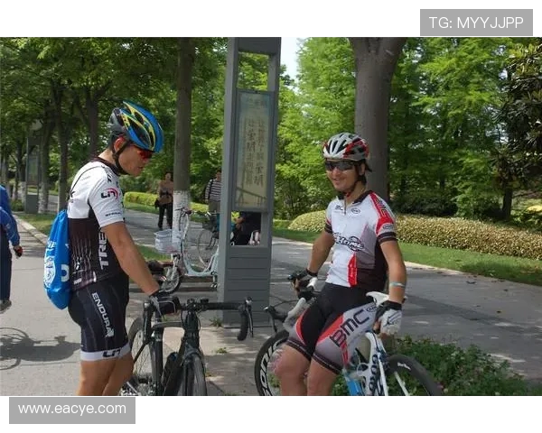 上海排球队的节奏解析与战术深度探讨