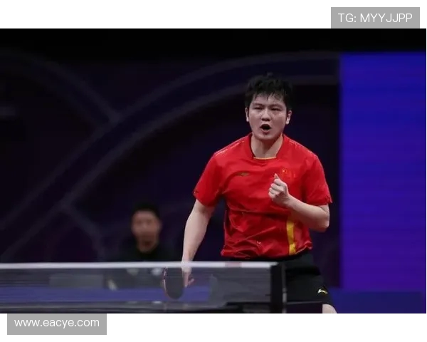 专访杨磊：深入探讨排球运动背后的成功秘诀与成长之路