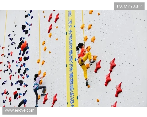 南京攀岩队与成都攀岩队的比赛复盘与经验分享分析