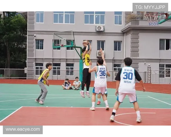 南京篮球队配合问题引发热议球迷对战术执行与球员默契展开激烈讨论