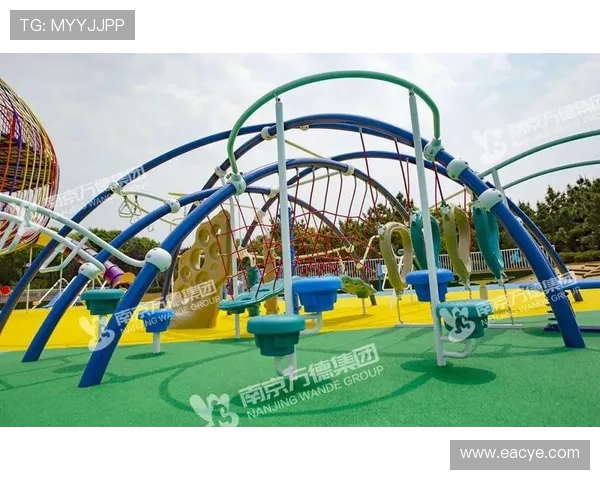 成都极限运动队团队协作引发热议与争议的背后故事与思考