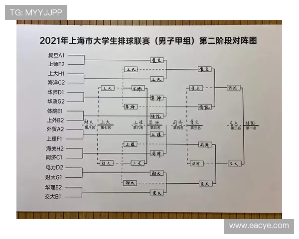 杭州排球队在邀请赛中的实力展现与未来发展潜力分析