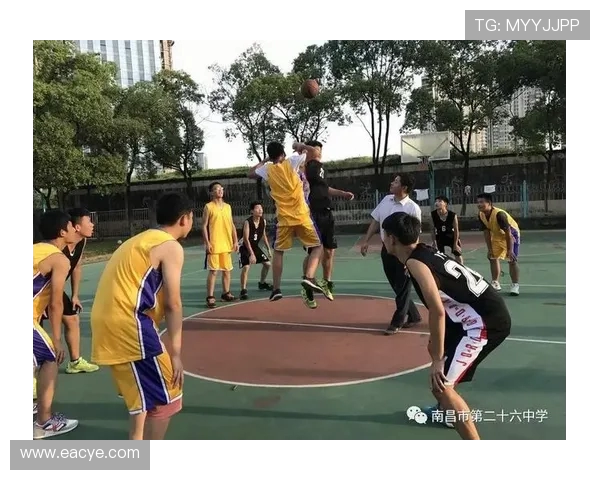 杭州篮球队的节奏揭秘：激情与梦想交织的赛场故事