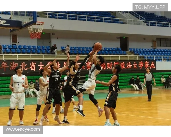 武汉篮球队实力揭秘：从训练到比赛的全景观察与分析