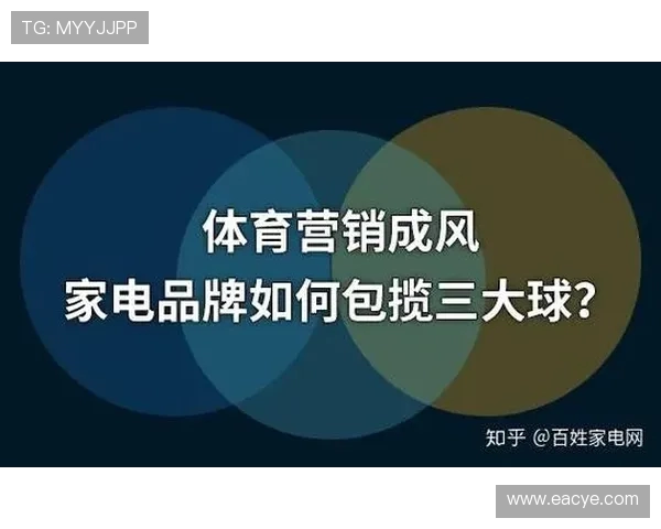 深圳排球队运营揭秘：从管理模式到市场推广的全景分析