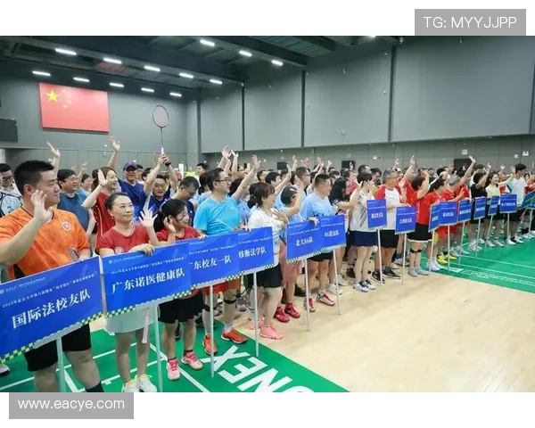 深圳羽毛球队在羽毛球战术排行榜中荣获第七名的背后故事与分析