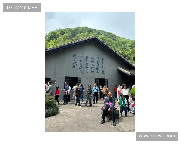 代怀博的崛起与挑战：探讨其在现代社会中的影响与意义