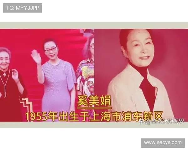 王岚的音乐之旅：从校园歌手到华语乐坛的璀璨明星