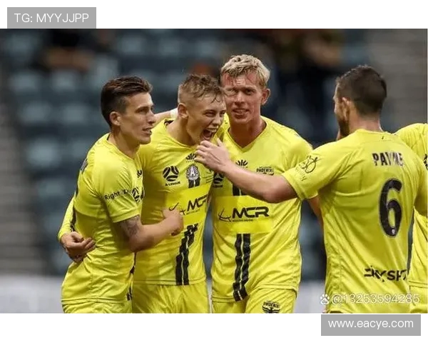 纽喷飞机与柏斯的精彩对决谁能赢得最终胜利