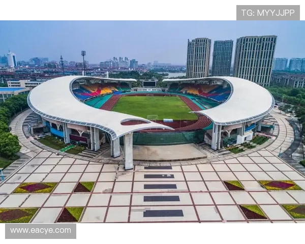 杭州排球队运营革新探索:提升竞技水平与商业价值的双重路径 杭州排球队运营革新探索:提升竞技水平与商业价值的双重路径