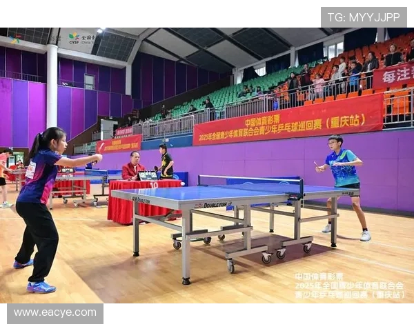 成都乒乓球队意识排名创新高引发全国关注助力乒乓球发展新趋势
