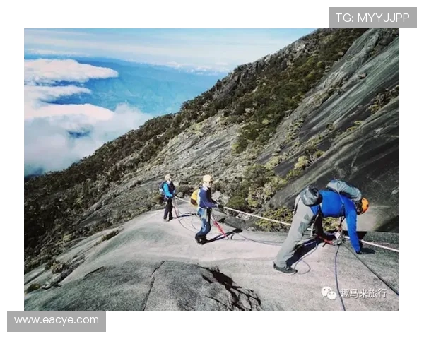 极限运动战术排行榜揭晓杭州极限运动队荣获第七名荣耀称号