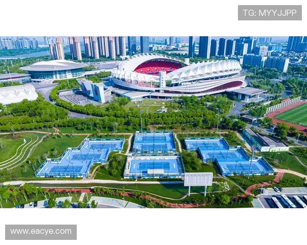 武汉网球队的崛起之路：挑战赛背后的成长与奋斗故事